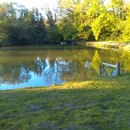 Apartman Srubik Cisovice Bagian luar foto